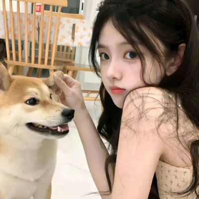 两只小猫的故事
